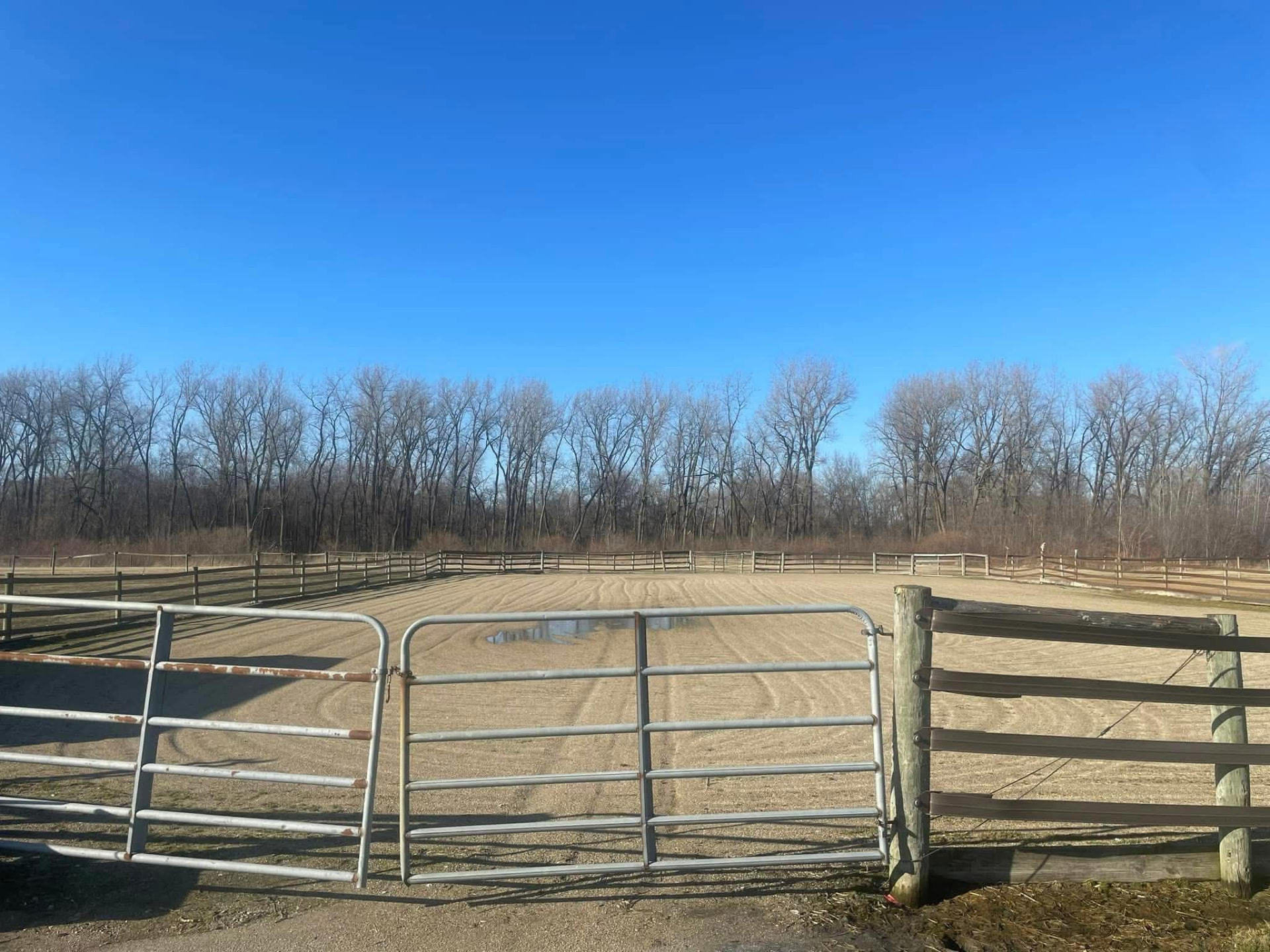 Outdoor arena with gates